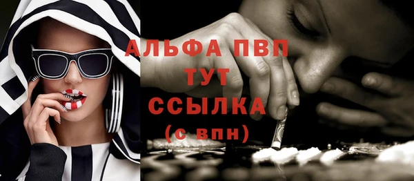 PSILOCYBIN Белокуриха