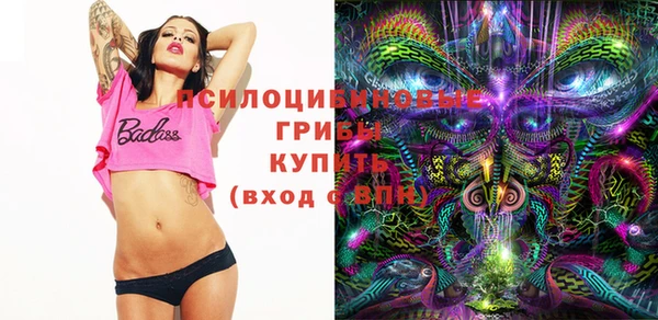 PSILOCYBIN Белокуриха