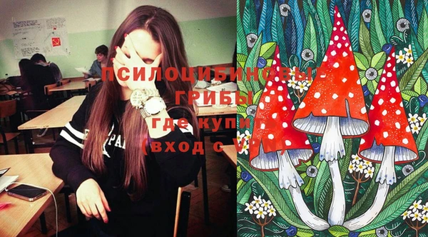 PSILOCYBIN Белокуриха