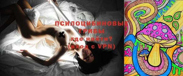 PSILOCYBIN Белокуриха