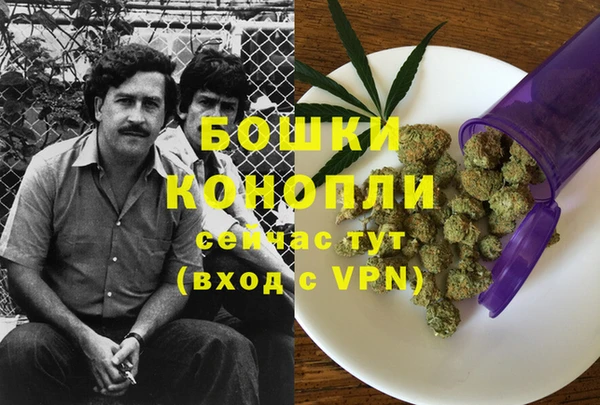 PSILOCYBIN Белокуриха