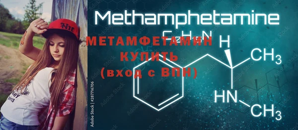 PSILOCYBIN Белокуриха