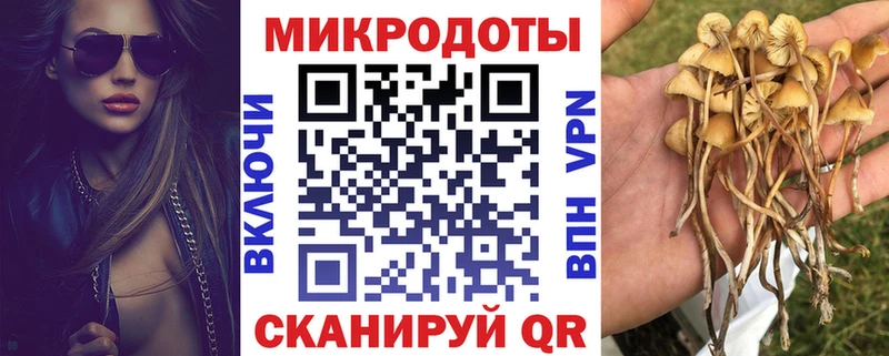 Псилоцибиновые грибы Magic Shrooms  Мезень 